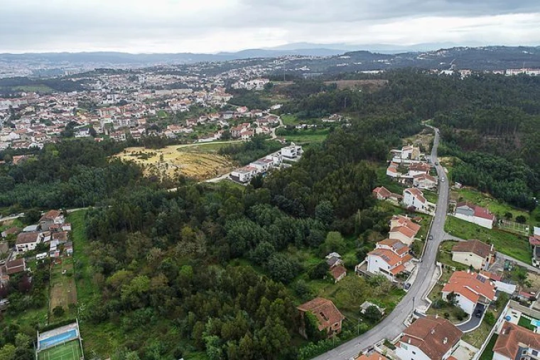 Terreno para Venda em São Martinho do Bispo e Ribeira de Frades Foto 12
