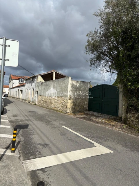Quinta T20 para Venda em Cantanhede e Pocariça