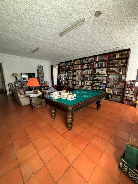 Quinta T20 para Venda em Cantanhede e Pocariça