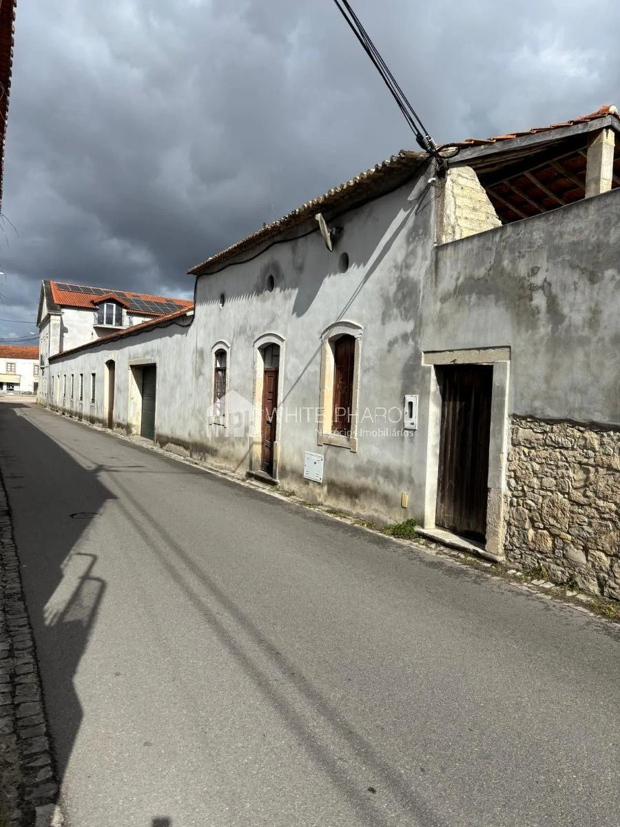 Quinta T20 para Venda em Cantanhede e Pocariça Foto 2
