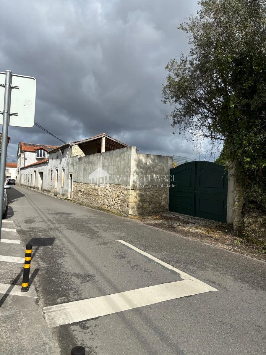 Quinta T20 para Venda em Cantanhede e Pocariça Foto 3