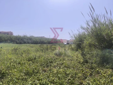 Terreno para Venda em Gaeiras