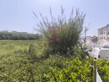 Terreno para Venda em Gaeiras