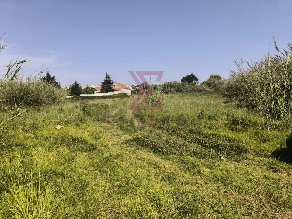 Terreno para Venda em Gaeiras Foto 4