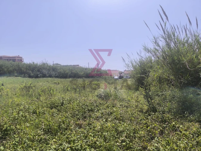 Terreno para Venda em Gaeiras Foto 3