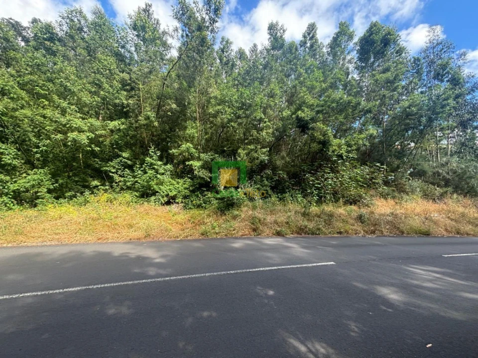 Terreno para Venda em Ribeira Brava Foto 4