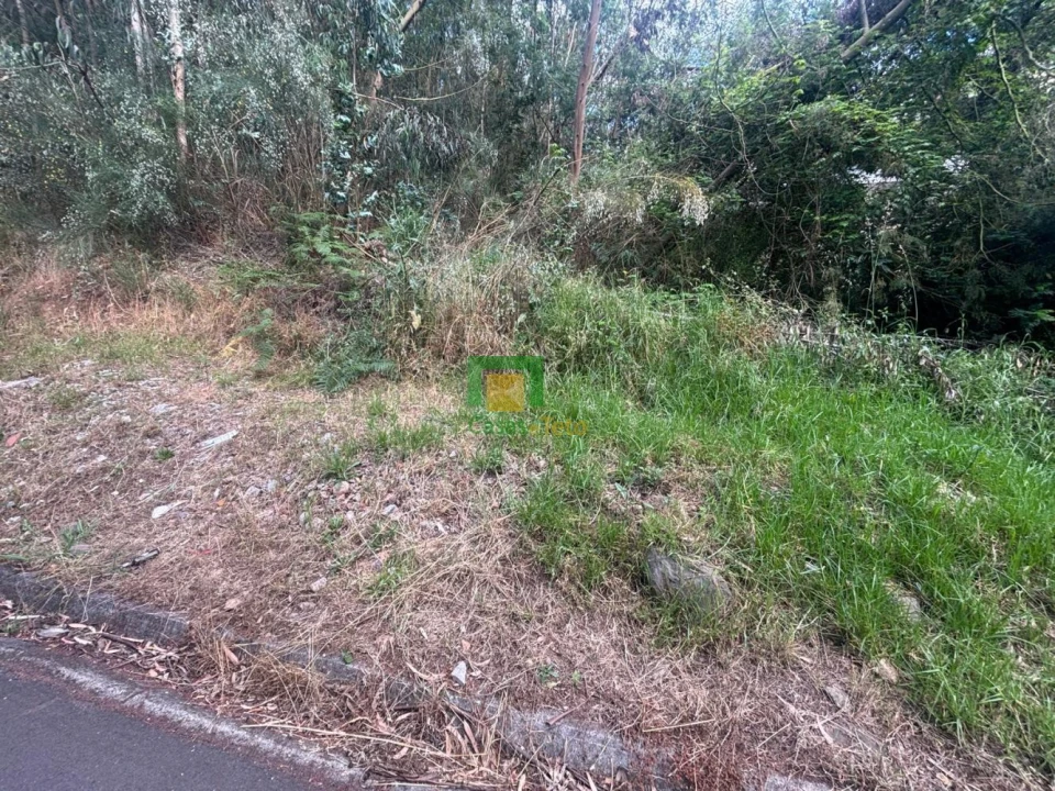 Terreno para Venda em Ribeira Brava Foto 2