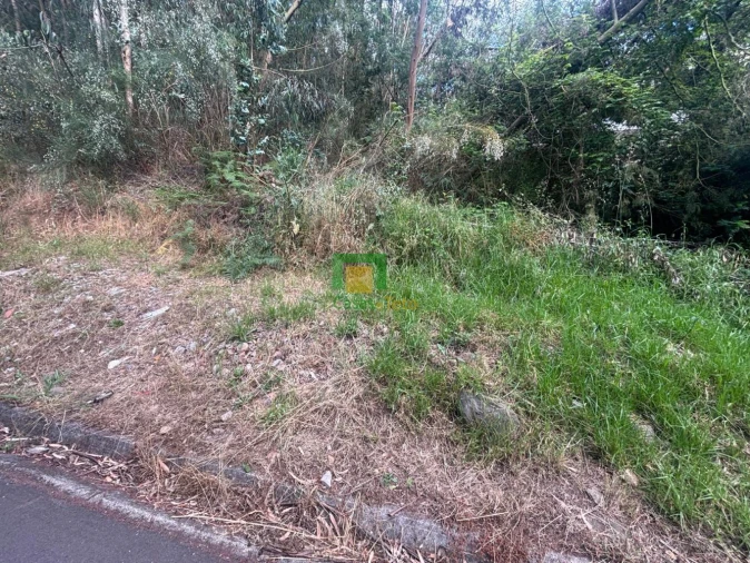 Terreno para Venda em Ribeira Brava Foto 2