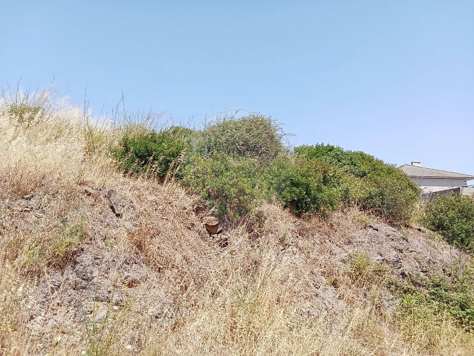 Terreno para Venda em Loures Foto 4