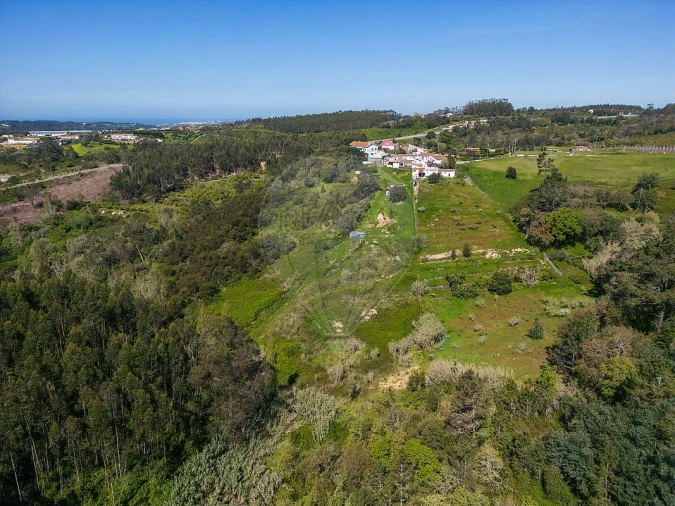 Quinta T4 para Venda em Mafra Foto 12