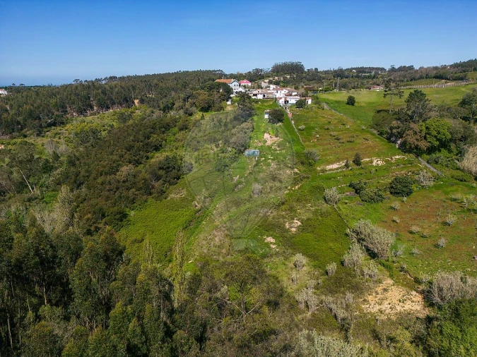 Quinta T4 para Venda em Mafra Foto 8