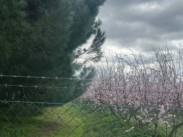 Quinta T2 para Venda em Poceirão e Marateca