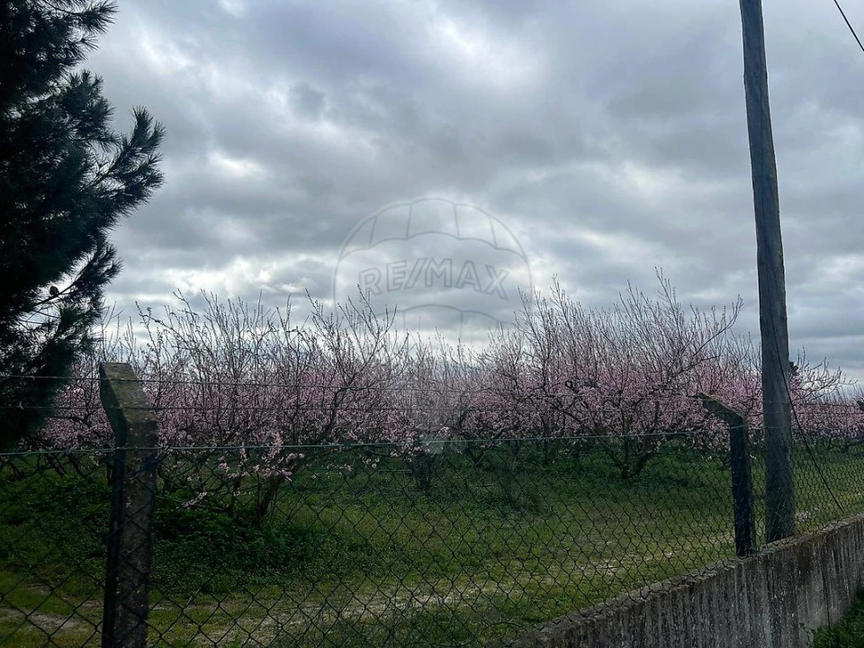 Quinta T2 para Venda em Poceirão e Marateca Foto 4