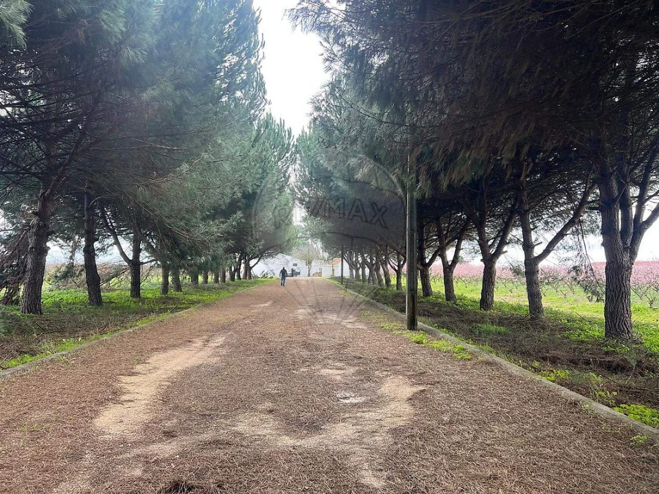 Quinta T2 para Venda em Poceirão e Marateca Foto 9