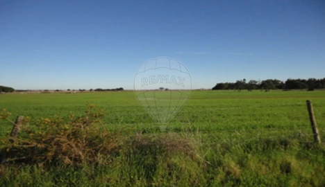 Terreno para Venda em Poceirão e Marateca