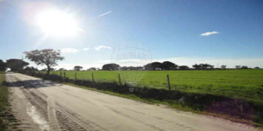 Terreno para Venda em Poceirão e Marateca