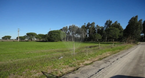 Terreno para Venda em Poceirão e Marateca