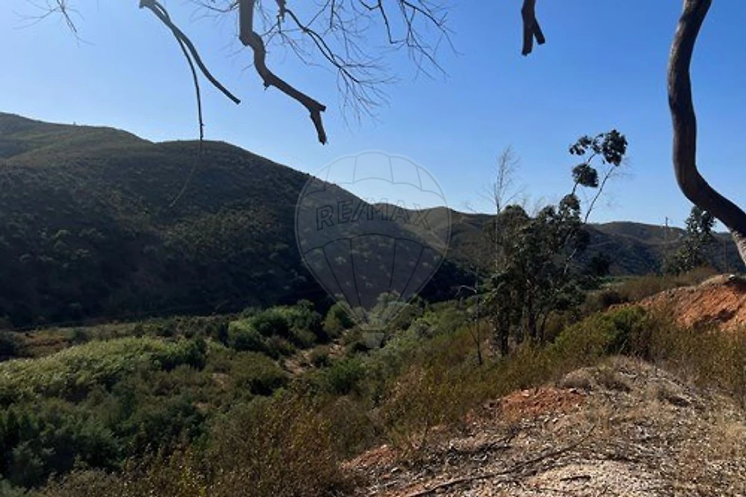 Terreno para Venda em Alferce Foto 2