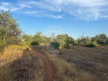 Terreno para Venda em Tavira (Santa Maria e Santiago)