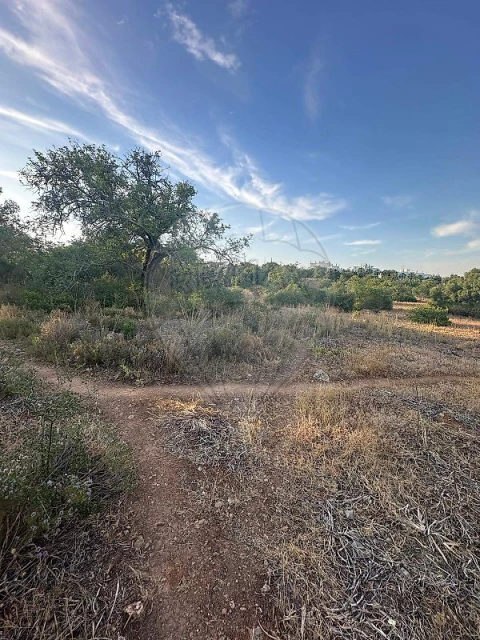 Terreno para Venda em Tavira (Santa Maria e Santiago)