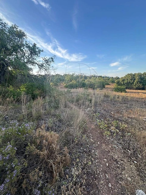 Terreno para Venda em Tavira (Santa Maria e Santiago)