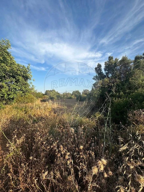 Terreno para Venda em Tavira (Santa Maria e Santiago)