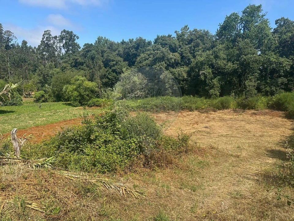 Terreno para Venda em Alhadas Foto 3