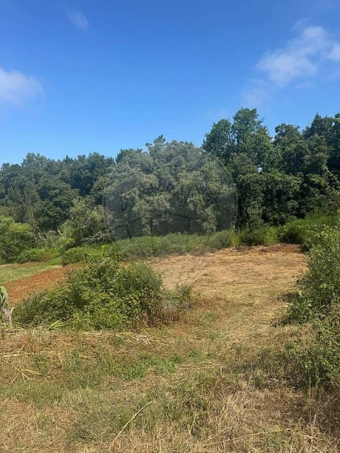 Terreno para Venda em Alhadas