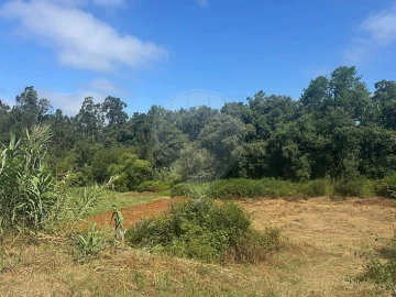 Terreno para Venda em Alhadas
