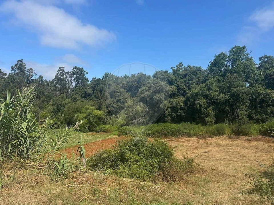 Terreno para Venda em Alhadas Foto 1