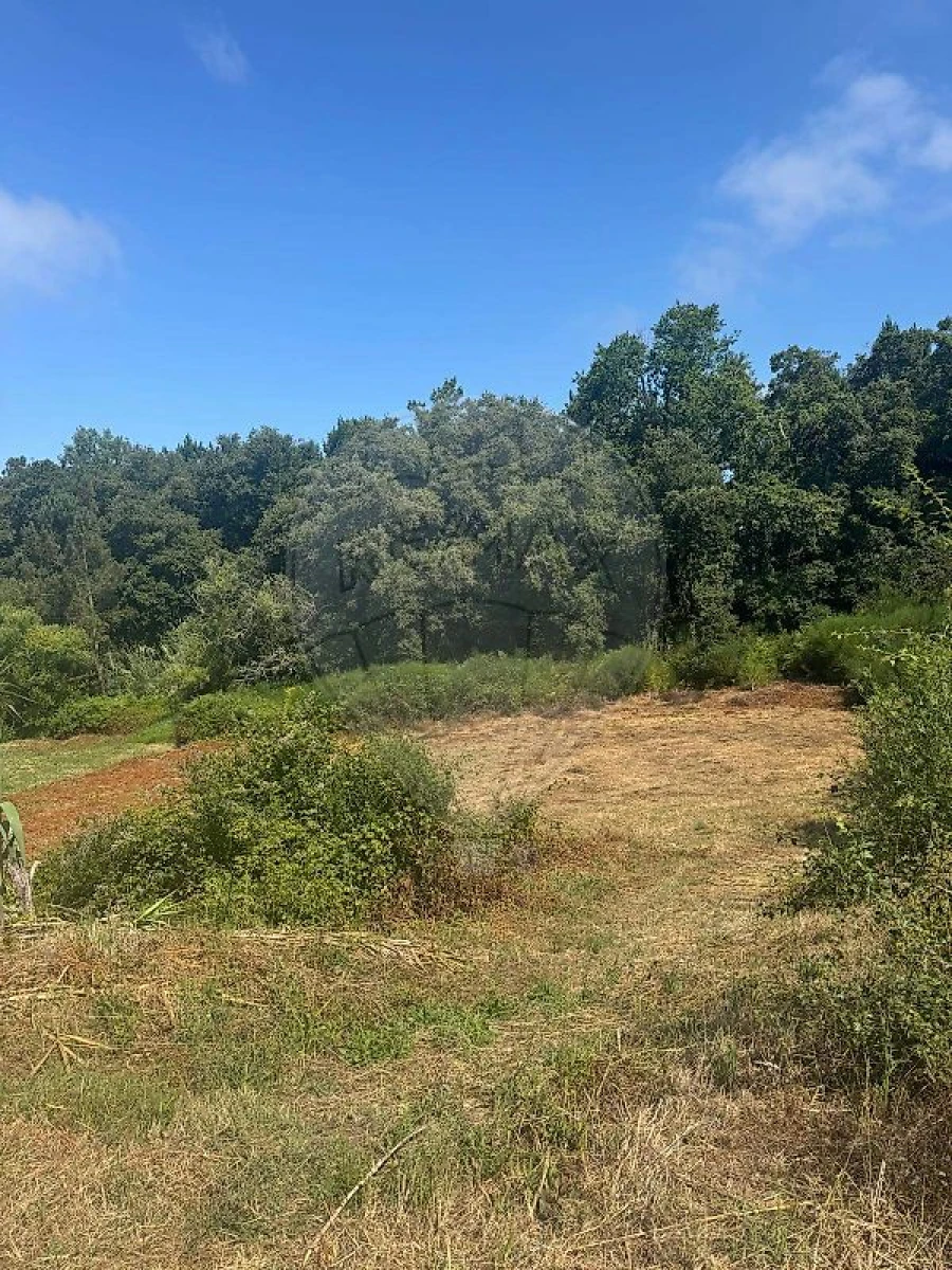 Terreno para Venda em Alhadas Foto 2