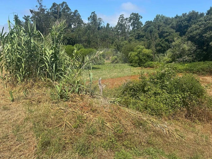 Terreno para Venda em Alhadas Foto 4