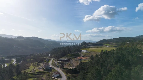 Terreno para Venda em Amarante (São Gonçalo), Madalena, Cepelos e Gatão