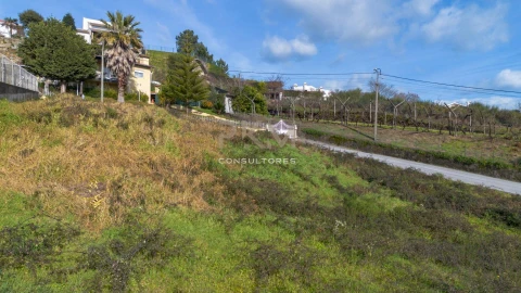 Terreno para Venda em Amarante (São Gonçalo), Madalena, Cepelos e Gatão