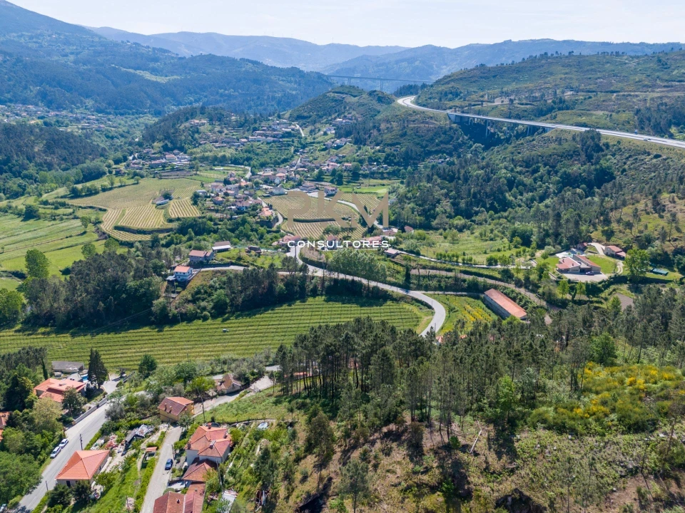 Terreno Agricola ou Rústico para Venda em Amarante (São Gonçalo), Madalena, Cepelos e Gatão Foto 12