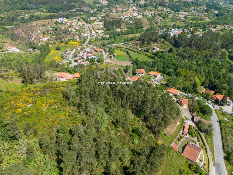 Terreno Agricola ou Rústico para Venda em Amarante (São Gonçalo), Madalena, Cepelos e Gatão Foto 19