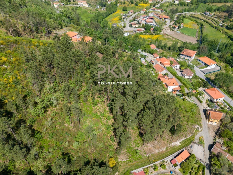 Terreno Agricola ou Rústico para Venda em Amarante (São Gonçalo), Madalena, Cepelos e Gatão Foto 22