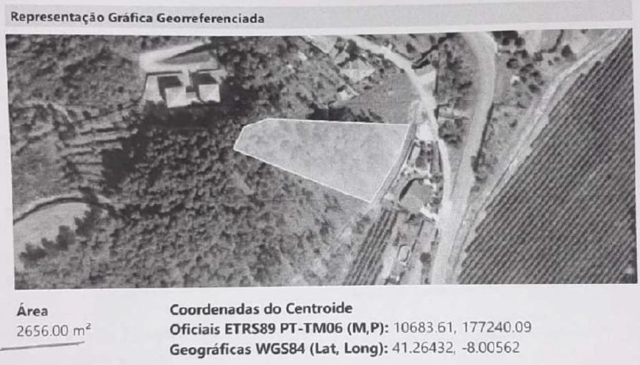 Terreno Agricola ou Rústico para Venda em Amarante (São Gonçalo), Madalena, Cepelos e Gatão Foto 35