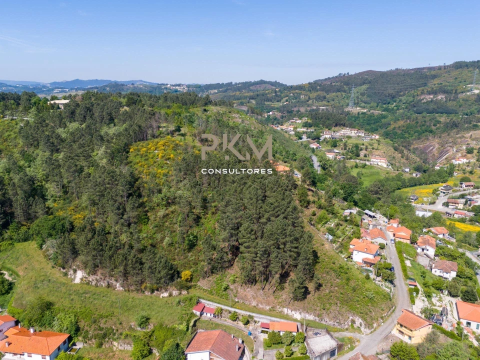 Terreno Agricola ou Rústico para Venda em Amarante (São Gonçalo), Madalena, Cepelos e Gatão Foto 4