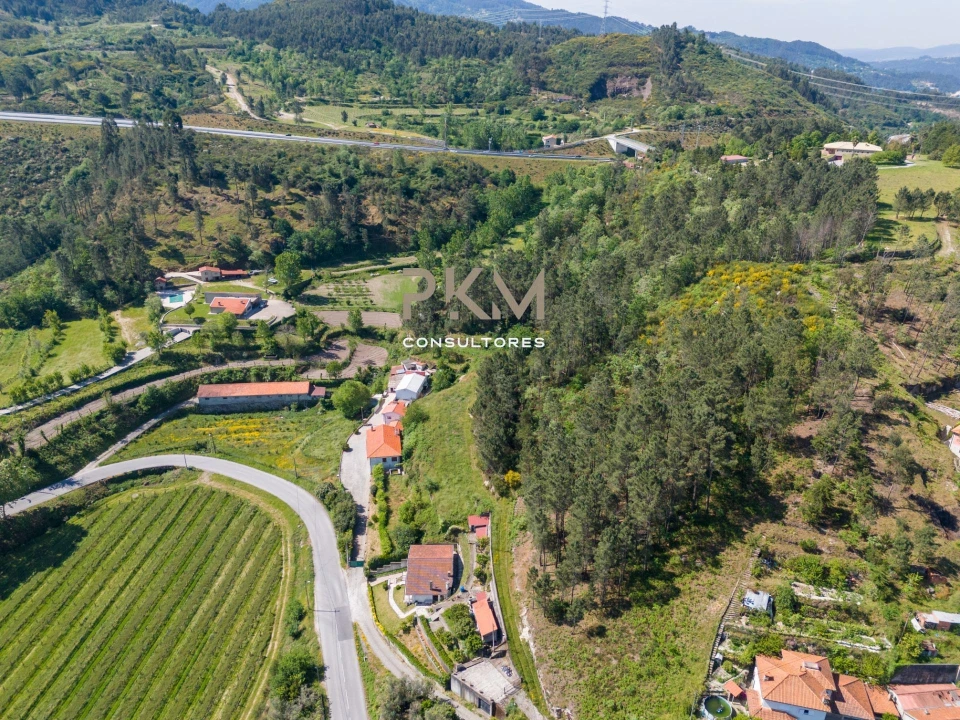 Terreno Agricola ou Rústico para Venda em Amarante (São Gonçalo), Madalena, Cepelos e Gatão Foto 7