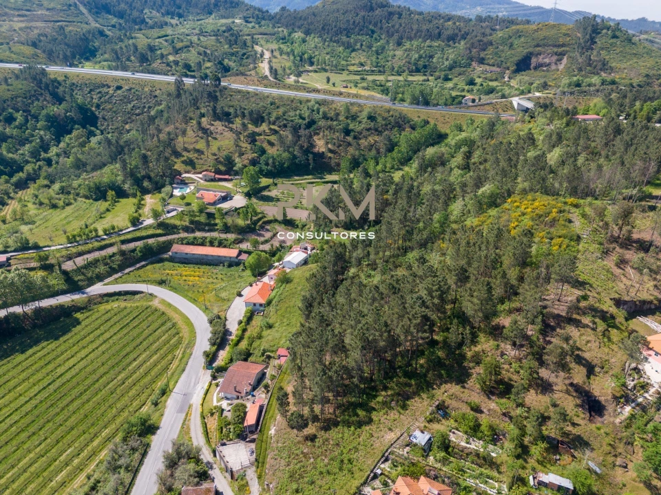 Terreno Agricola ou Rústico para Venda em Amarante (São Gonçalo), Madalena, Cepelos e Gatão Foto 8
