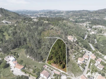 Terreno Agricola ou Rústico para Venda em Amarante (São Gonçalo), Madalena, Cepelos e Gatão