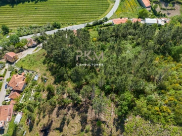 Terreno Agricola ou Rústico para Venda em Amarante (São Gonçalo), Madalena, Cepelos e Gatão