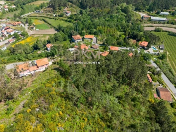 Terreno Agricola ou Rústico para Venda em Amarante (São Gonçalo), Madalena, Cepelos e Gatão