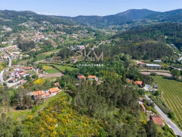 Terreno Agricola ou Rústico para Venda em Amarante (São Gonçalo), Madalena, Cepelos e Gatão