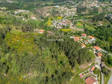 Terreno Agricola ou Rústico para Venda em Amarante (São Gonçalo), Madalena, Cepelos e Gatão