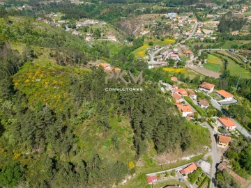 Terreno Agricola ou Rústico para Venda em Amarante (São Gonçalo), Madalena, Cepelos e Gatão
