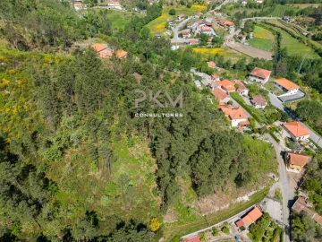 Terreno Agricola ou Rústico para Venda em Amarante (São Gonçalo), Madalena, Cepelos e Gatão