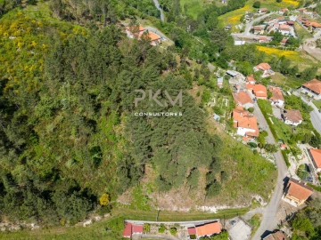 Terreno Agricola ou Rústico para Venda em Amarante (São Gonçalo), Madalena, Cepelos e Gatão