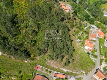 Terreno Agricola ou Rústico para Venda em Amarante (São Gonçalo), Madalena, Cepelos e Gatão